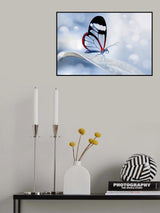 glasswing Butterfly (Greta oto) Poster och Canvastavla