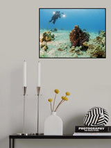 Octopus and a Diver Poster och Canvastavla