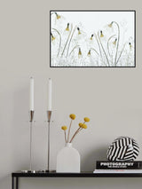 Spring! Poster och Canvastavla