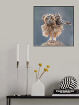 Hi there Poster och Canvastavla