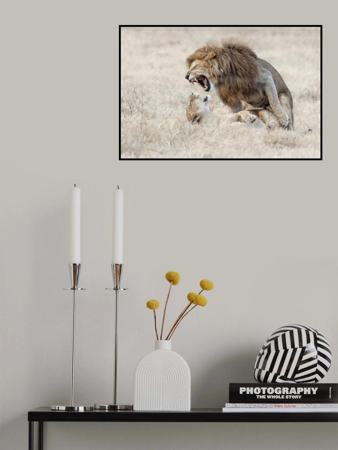 Foreplay Poster och Canvastavla
