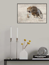 Foreplay Poster och Canvastavla