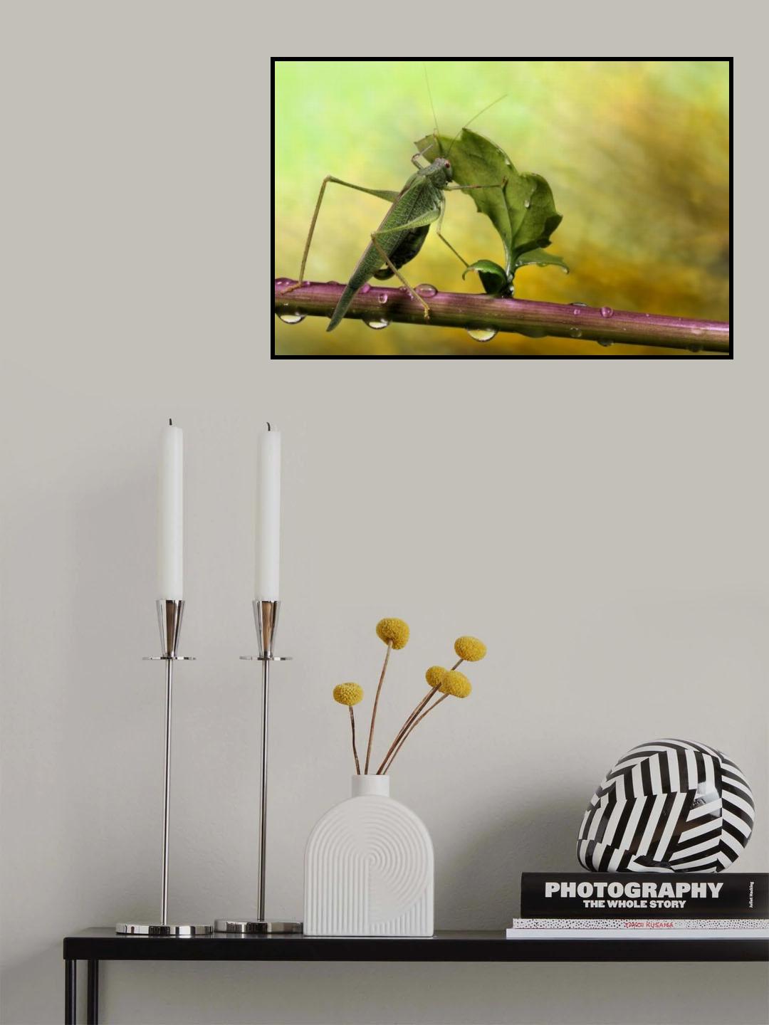 Is it still raining...? Poster och Canvastavla
