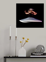 The last dance of death Poster och Canvastavla