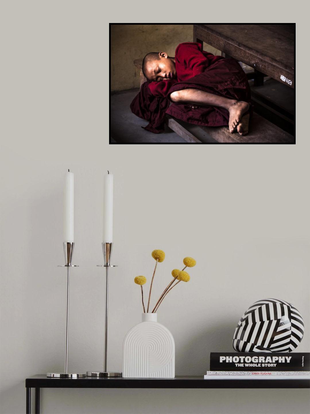 sleeping novice Poster och Canvastavla