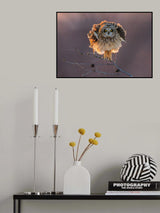 A Cute Shortie Poster och Canvastavla