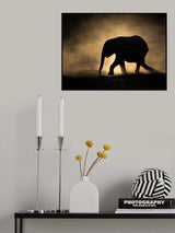 SILHOUETTE Poster och Canvastavla