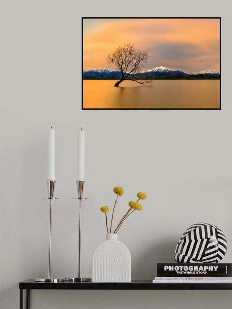 Morning glow of the Lake Wanaka Poster och Canvastavla