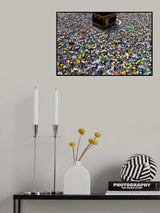 Flower Garden Poster och Canvastavla