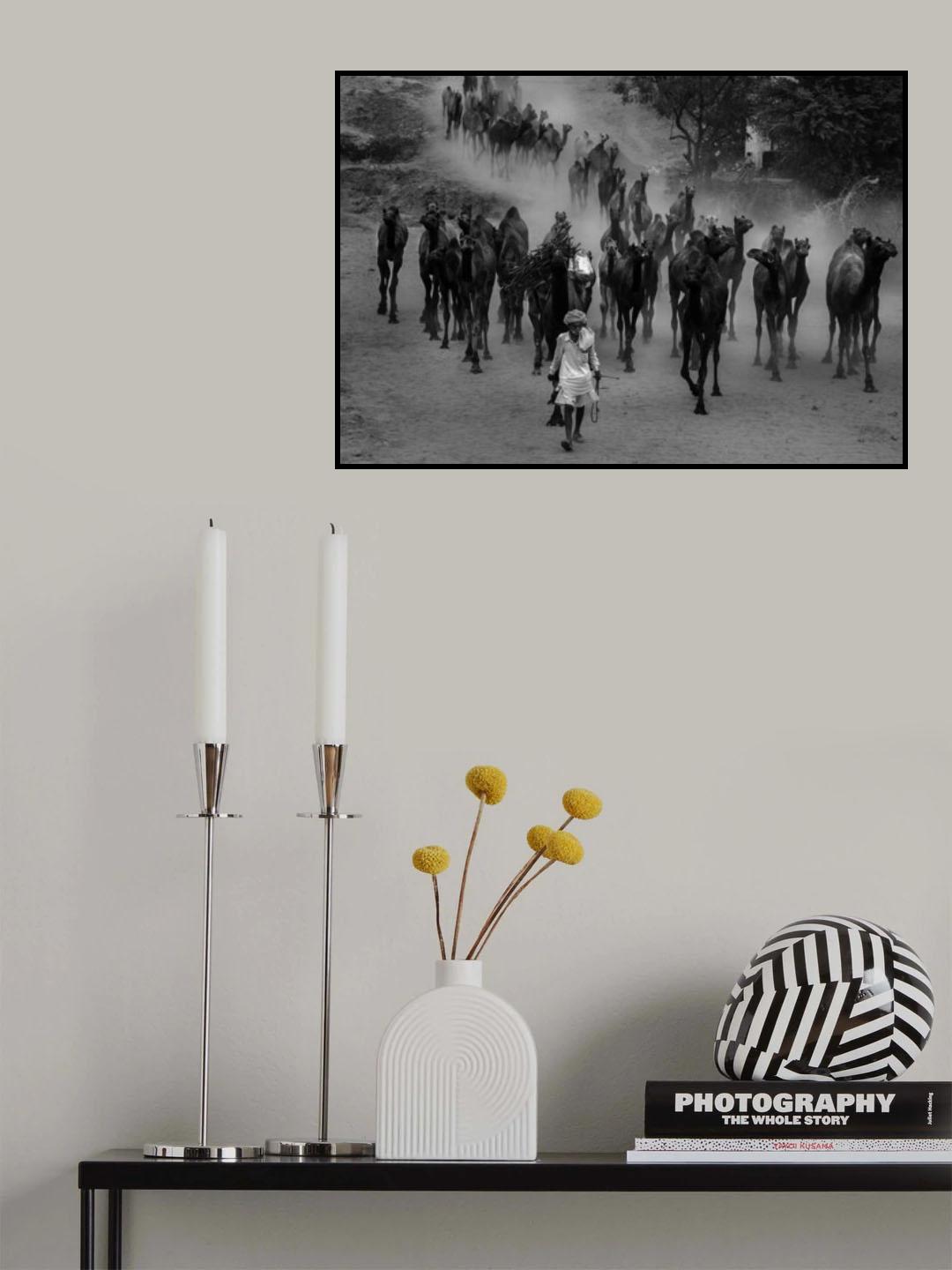 Fushkar's Daily Life Poster och Canvastavla