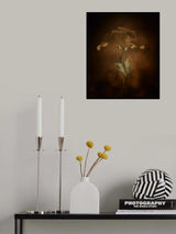 Withe hydrangea Poster och Canvastavla