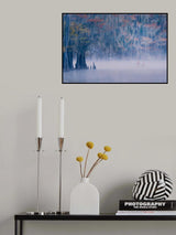Autumn color in fog Poster och Canvastavla