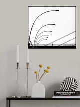 Bridge Poster och Canvastavla