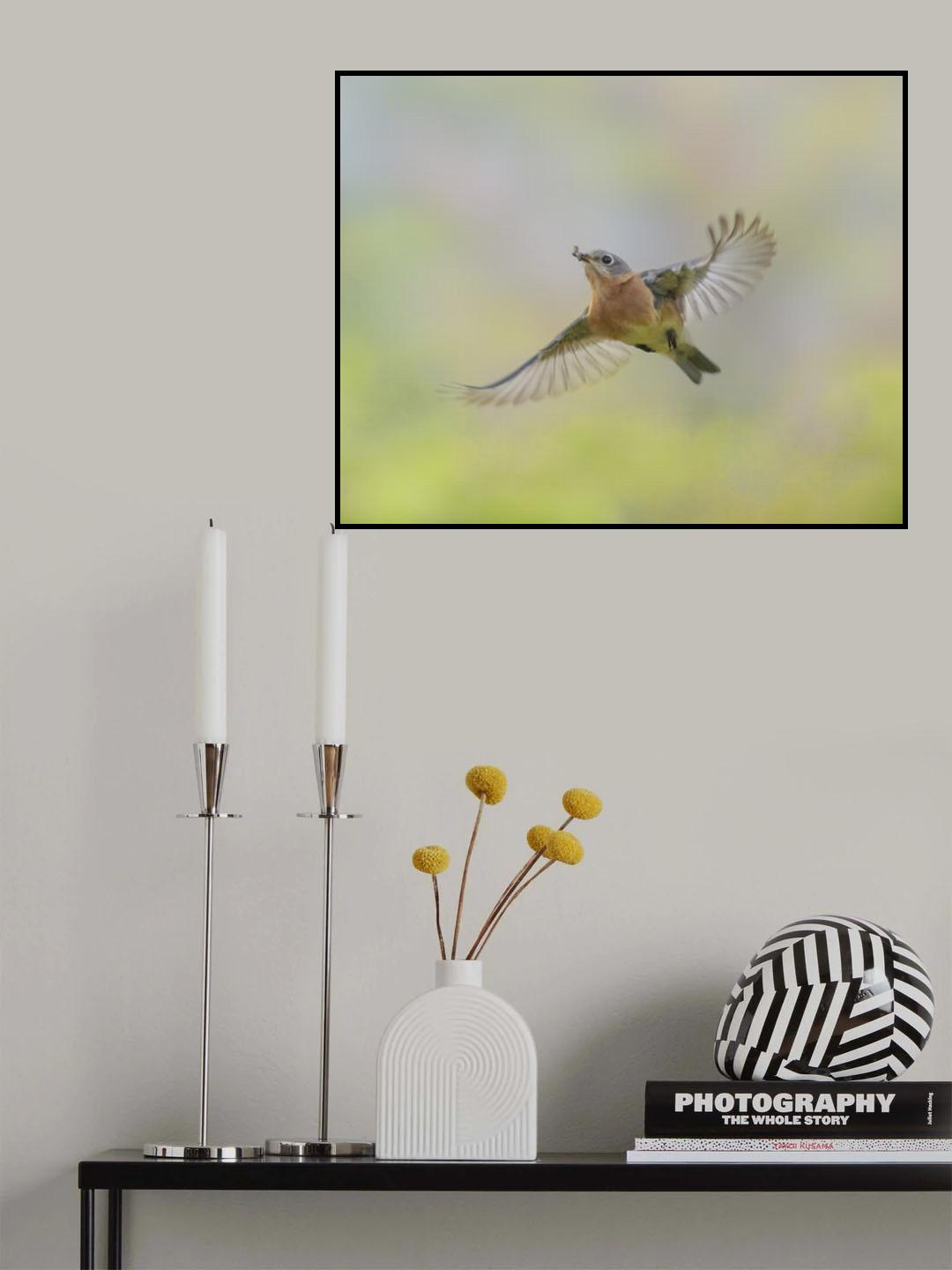 Poster och Canvastavla