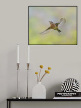 Poster och Canvastavla