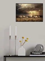 FreeElephants Poster och Canvastavla