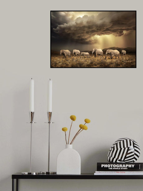 FreeElephants Poster och Canvastavla