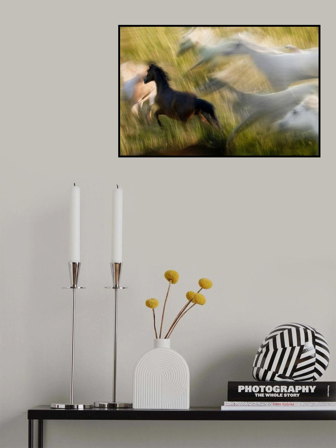 Black dominance Poster och Canvastavla