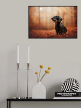 Autumn vibes Poster och Canvastavla