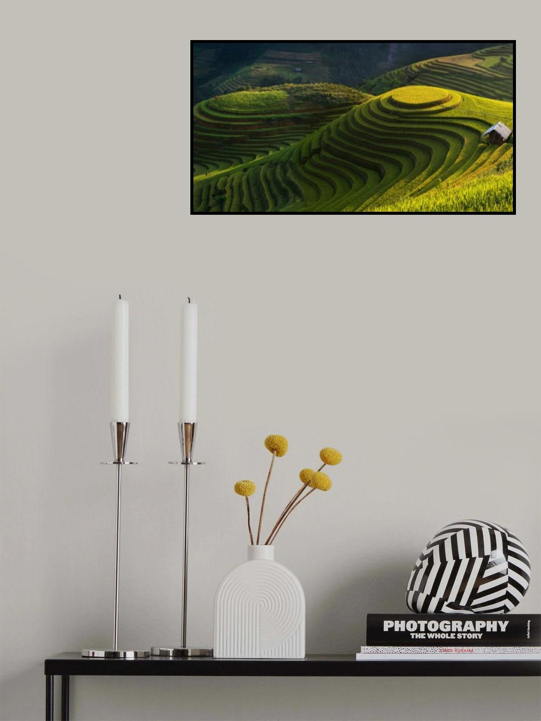 Gold rice terrace in mu cang chai,Vietnam. Poster och Canvastavla