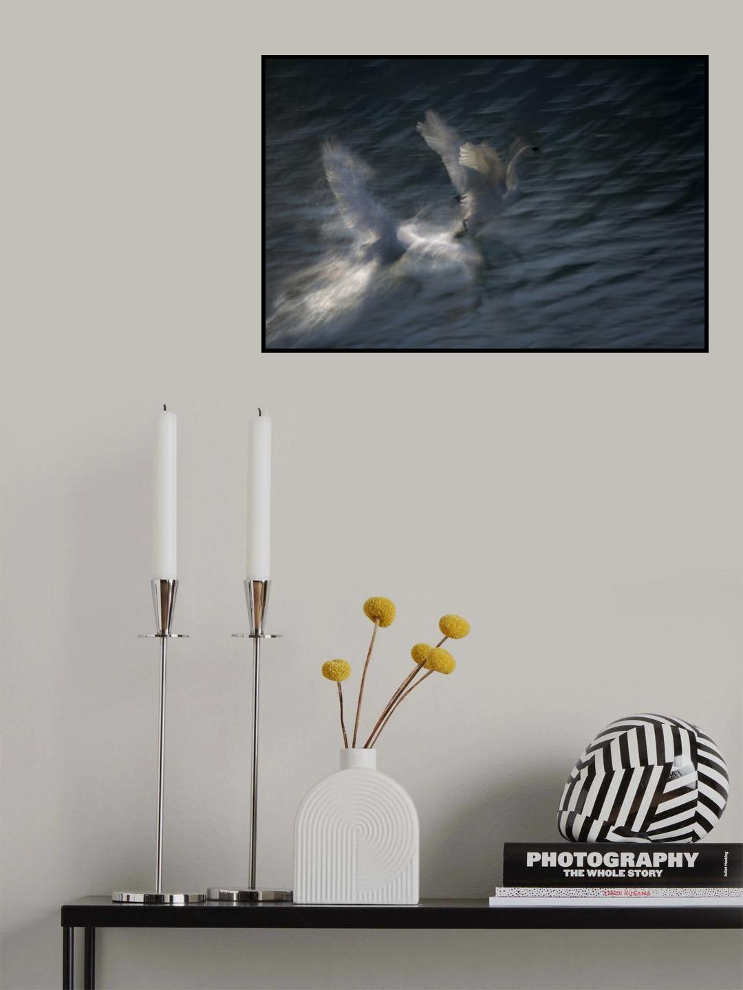 Courtship Poster och Canvastavla