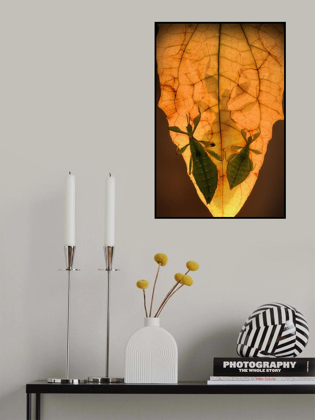 Leaf insects Poster och Canvastavla