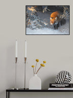 Red Fox Poster och Canvastavla