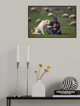 animal love Poster och Canvastavla
