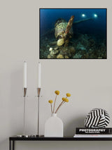 Jake Sea Plane Poster och Canvastavla