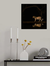 Inverted reflection in water Poster och Canvastavla