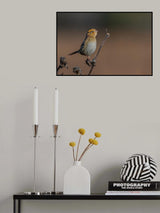 LeConte's Sparrow Poster och Canvastavla