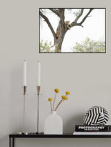 Safe heights Poster och Canvastavla