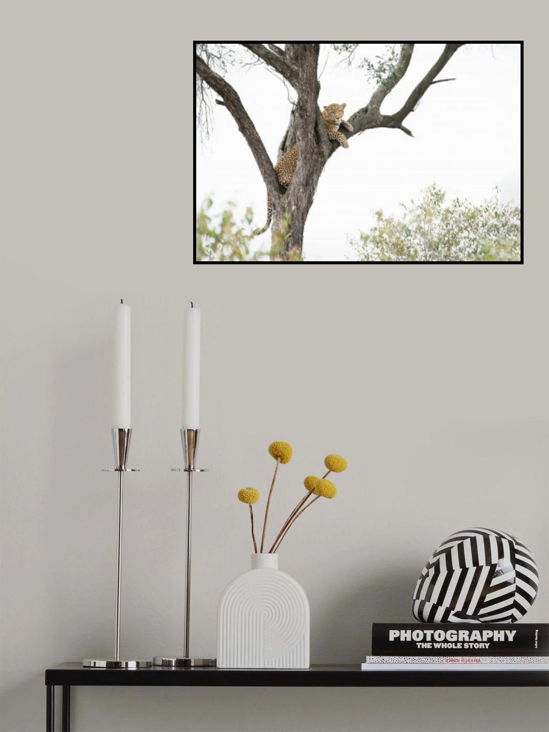 Safe heights Poster och Canvastavla