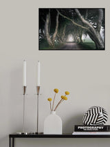 The King's Road Poster och Canvastavla