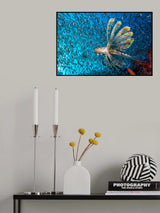 Deadly flower Poster och Canvastavla