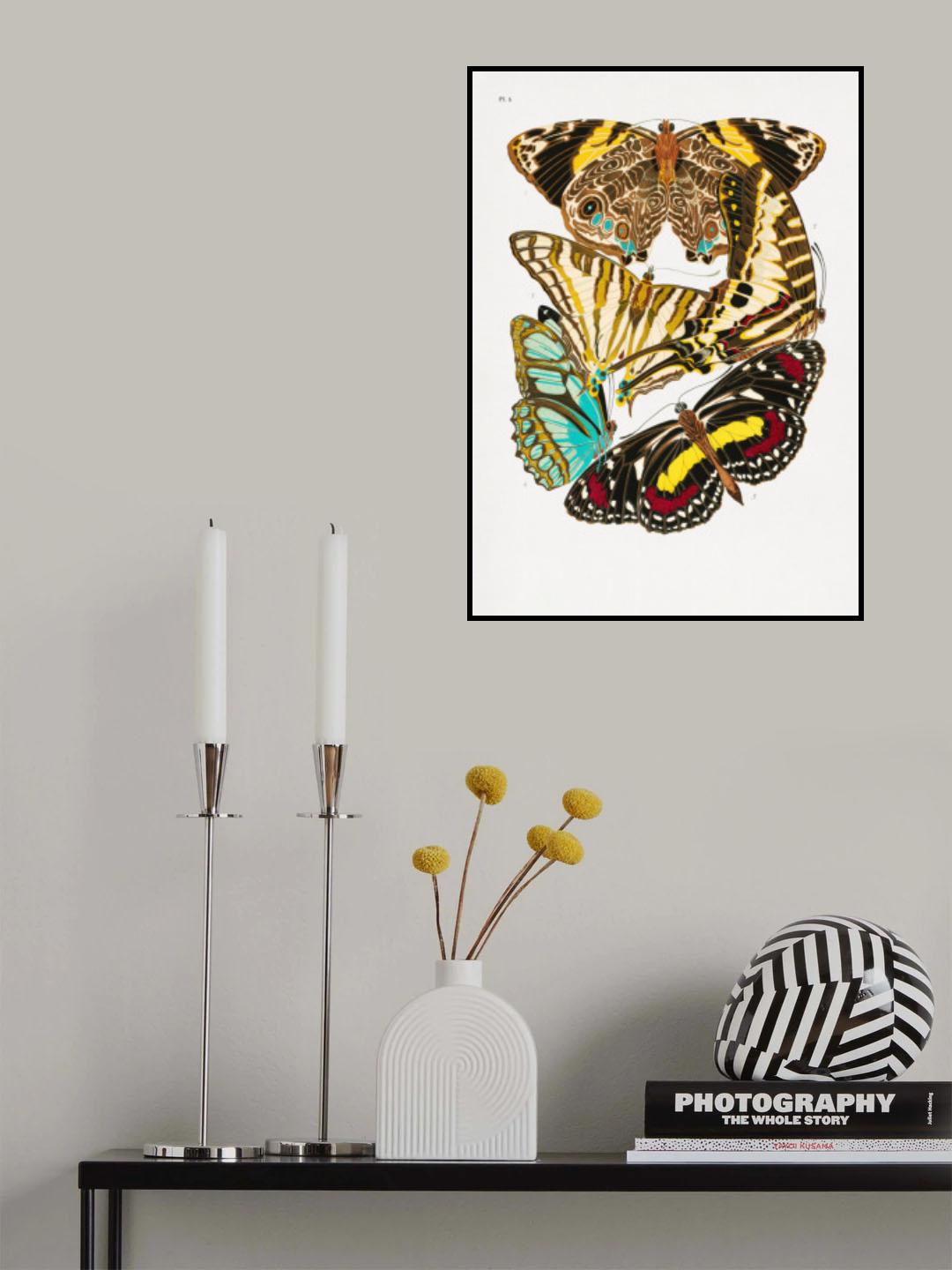 Butterflies 10 Poster och Canvastavla