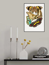 Butterflies 10 Poster och Canvastavla