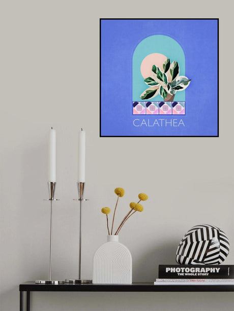 Green Sets Calathea Poster och Canvastavla