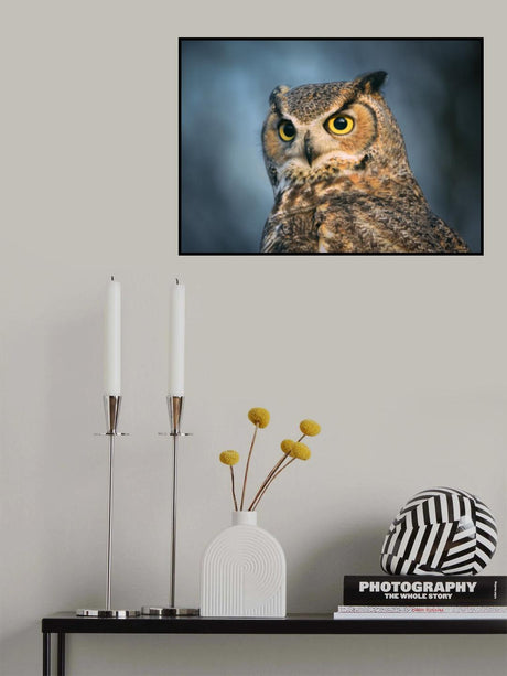 The eyes are the windows of the soul Poster och Canvastavla
