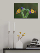 friendship Poster och Canvastavla