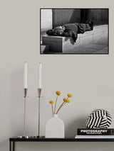Lunch Nap. Poster och Canvastavla