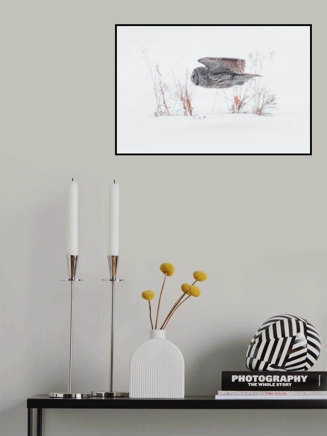 Under the radar Poster och Canvastavla