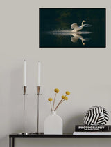 Touchdown. Poster och Canvastavla
