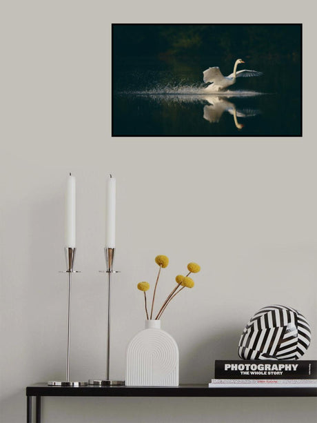 Touchdown. Poster och Canvastavla