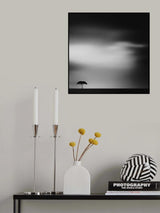 the plains Poster och Canvastavla