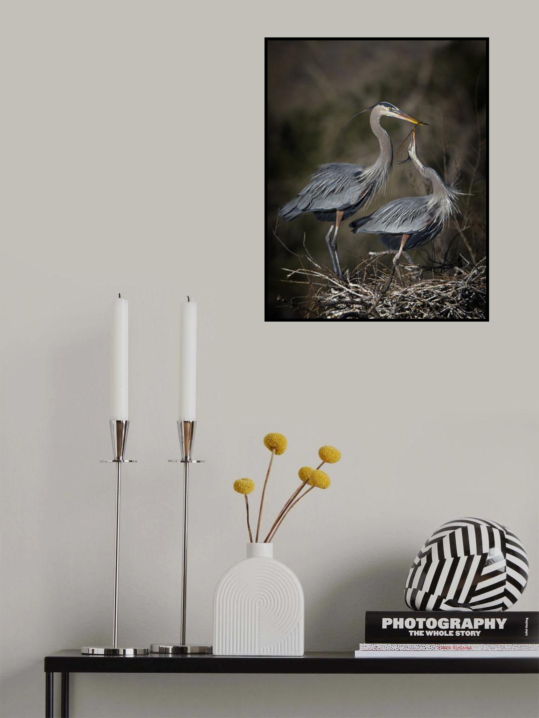 Tender builders Poster och Canvastavla