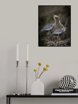 Tender builders Poster och Canvastavla