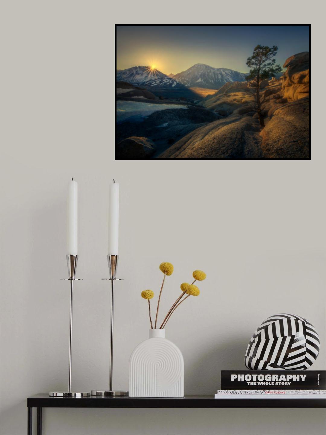 Stone Tree Poster och Canvastavla