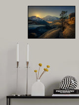 Stone Tree Poster och Canvastavla