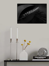 LIGHT CONTRASTS Poster och Canvastavla